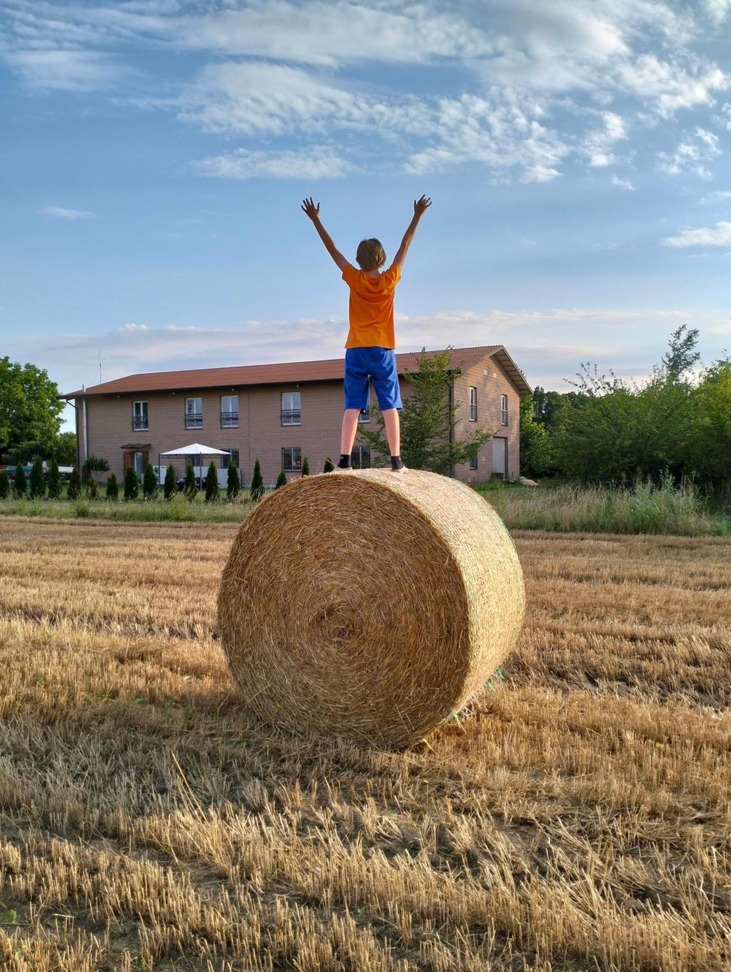 Gasthaus Agriturismo Campi Di Grano Roncade Exterior foto