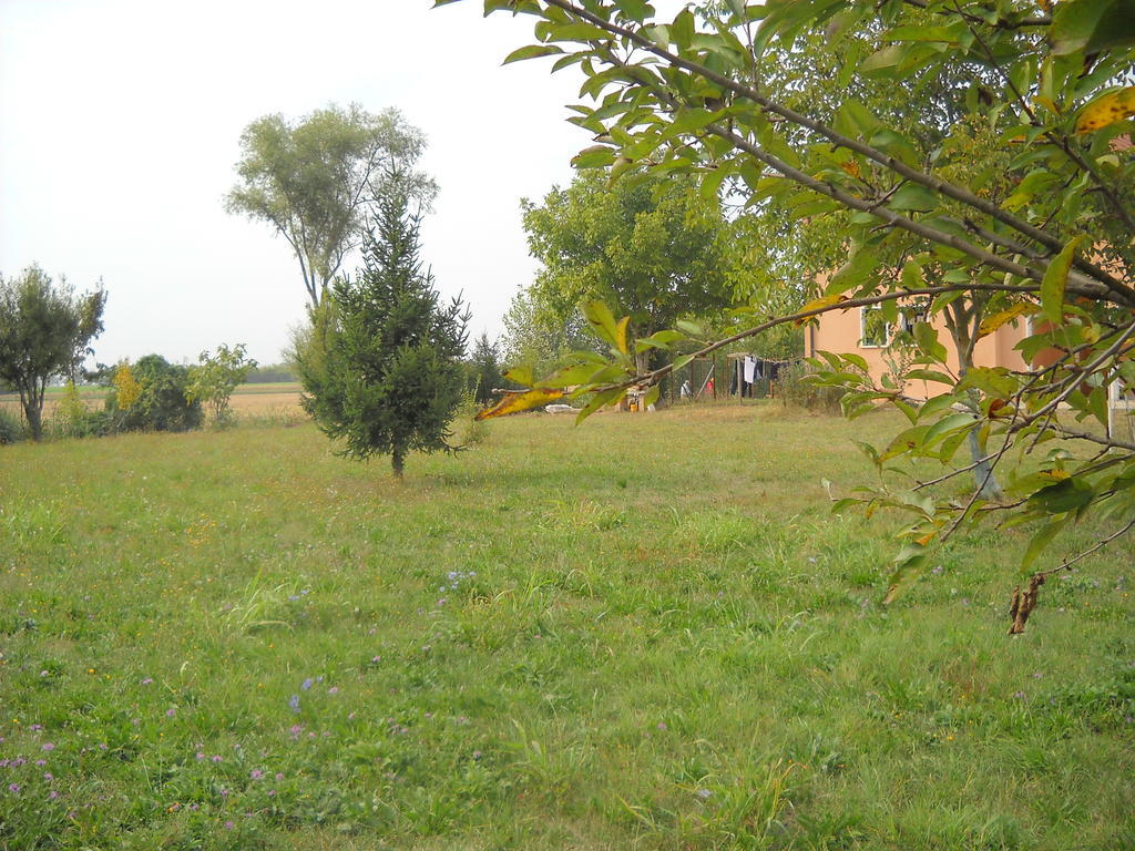Agriturismo Campi Di Grano Roncade Exterior foto