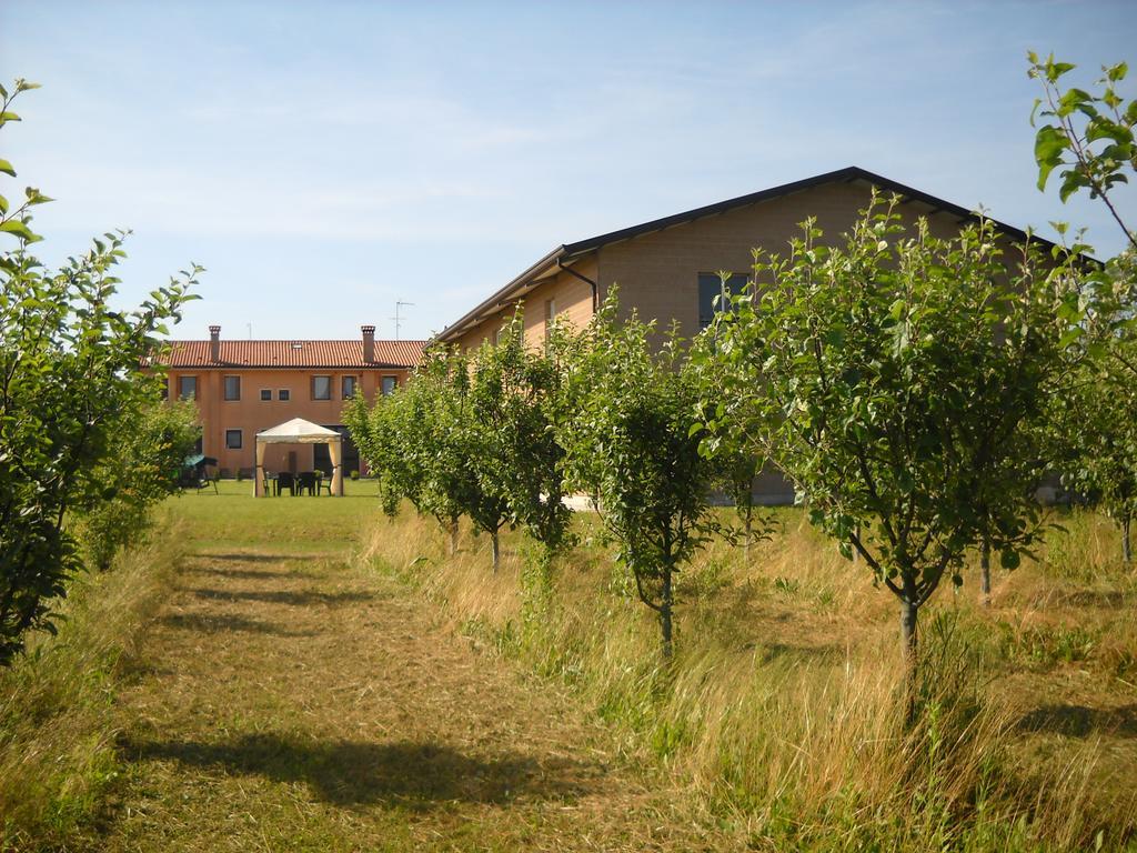 Gasthaus Agriturismo Campi Di Grano Roncade Exterior foto